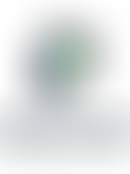 Why I Decided to Become a Coach, P.3