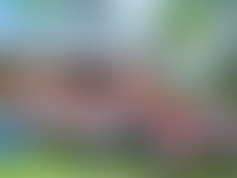 7月のFiljapHTM活動: BicolRegionとFiljapのパートナーシップ(写真レポート