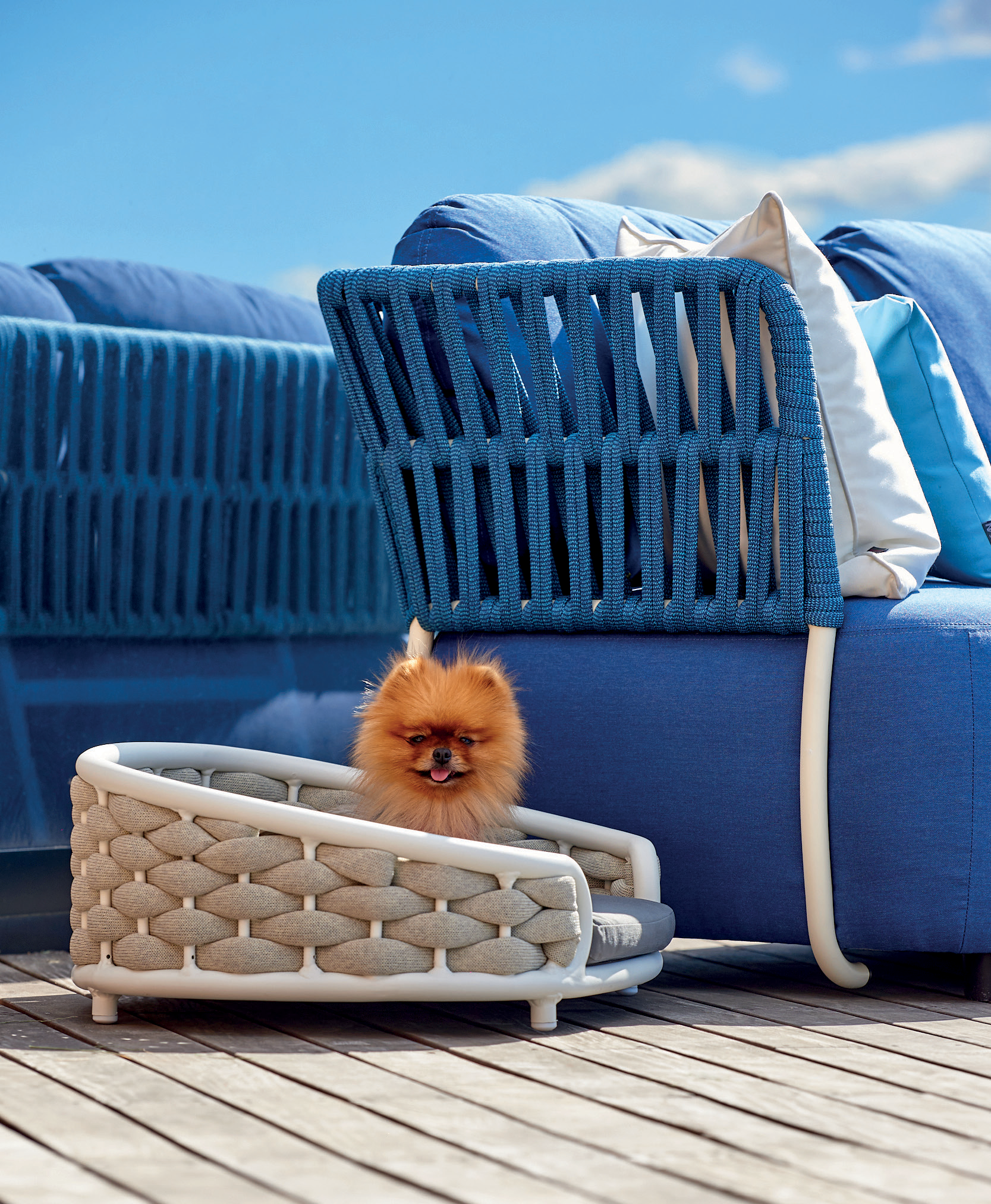 Set Daybed+Dogbed