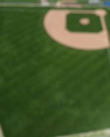 Baseball Field Blurred 2.png