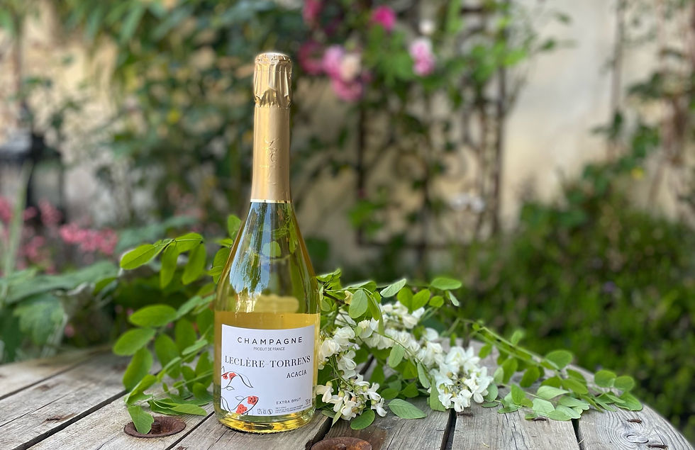 wix:image://v1/5c5484_c9d507b94df147f083a68050e5130b77~mv2.png/Peatix%20%E3%83%90%E3%83%8A%E3%83%BC%20(5).png#originWidth=920&originHeight=450