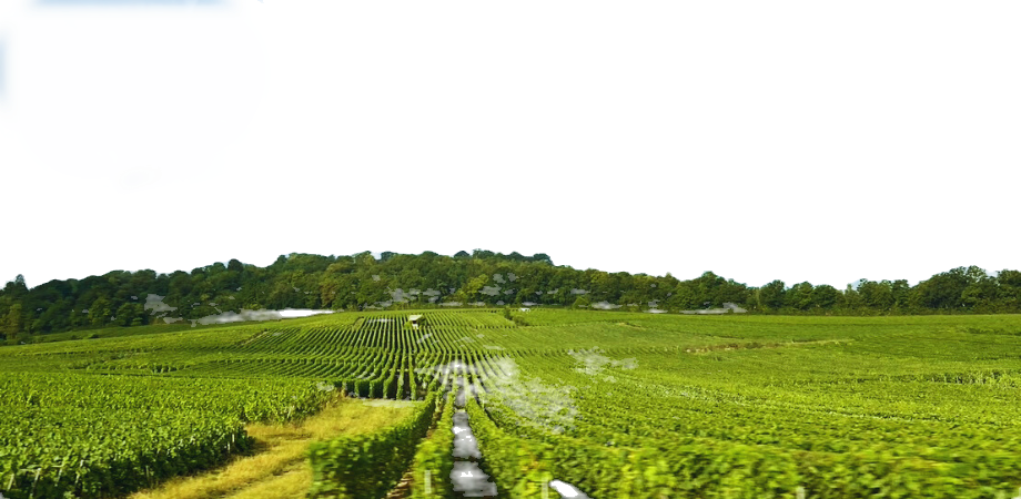 ルクレールトラン