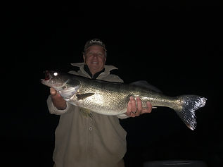Walleye Colorado