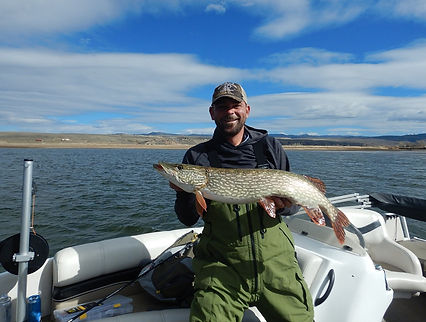 Pike Fishing
