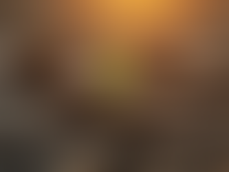 🌟 Olvídate del Error, Abraza el Acierto 🌟