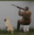 Mock Hunt Test - Oakridge Kennels