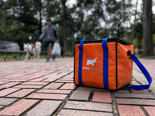 BYPPOCampus: A New and Innovative Student-Led Food Delivery Service at the University of Florida