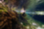20250124-DSC08966