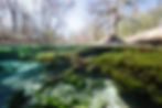 small 20250221-DSC03470