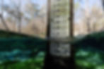 s20250124-DSC08829