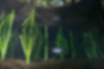 20250414-DSC04748