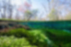 20250221-DSC03534