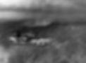 f4u Rockets Firing.jpg