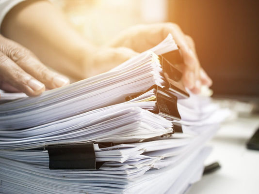 Jednotné měsíční hlášení zaměstnavatele