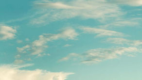 【令和03年08月20日更新】賃貸マンション最新情報♬