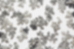 Tanto_Perlé_2_détail_2_BD.jpg