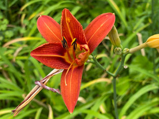 Intuitive Life Coach: A Moment Noted