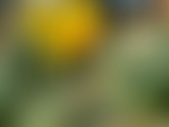 Our Place in the Season's Transition