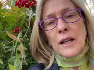 Hello from Katharine