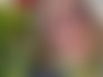 Hello from Katharine