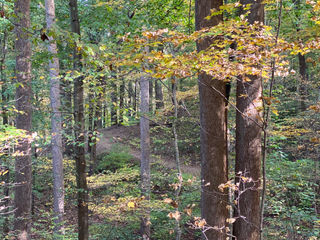 Allowing Archetypal Energies to Flourish