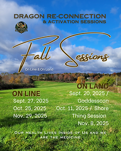 Fall Dragon Session _ (Instagram Post (45)).png