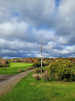43aa056e-8fd1-4c49-822d-cf2b2ec256dd.jpeg