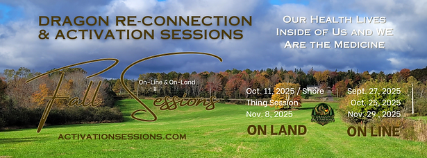 Fall 2025 Dragon Sessions _ (2560 x 1440 px) (Facebook Cover) (1).png