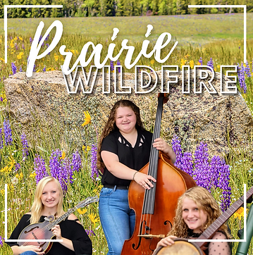 _Blue and Brown Photography For Poise Artistic CD Cover (1).png