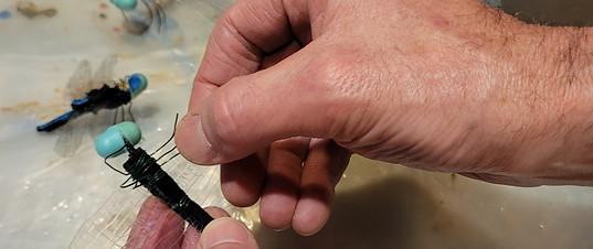 making dragonflies_edited.jpg