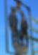 brooks-haywards-heath-sign_edited_edited