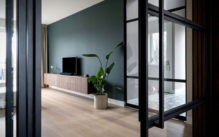 interieurfotografie voor interieurstylisten - Modern interieur: groene muur, houten tv-meubel, plant