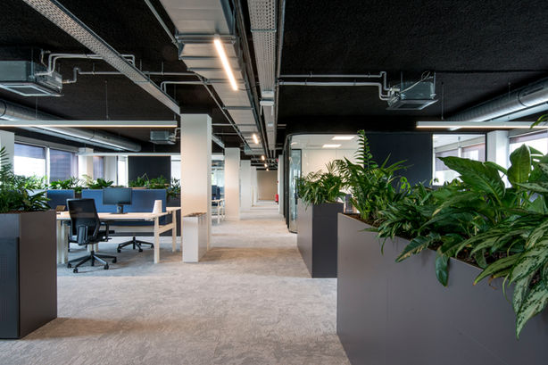 Projectfotograaf Amsterdam