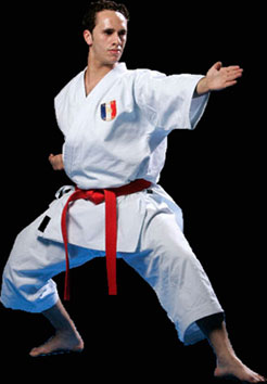 Les révisions KATAS