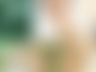 台中新秘推薦/香港新秘/美式風格/美式妝髮/美式婚紗/大澳文物酒店