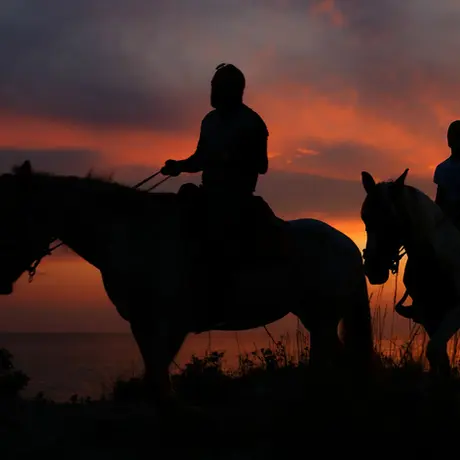 Cavallo Avventura