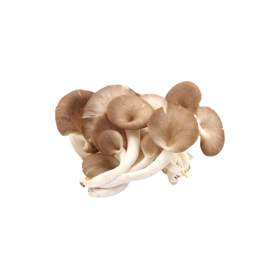 Miniatura: Oyster Mushrooms 1.5 kg 