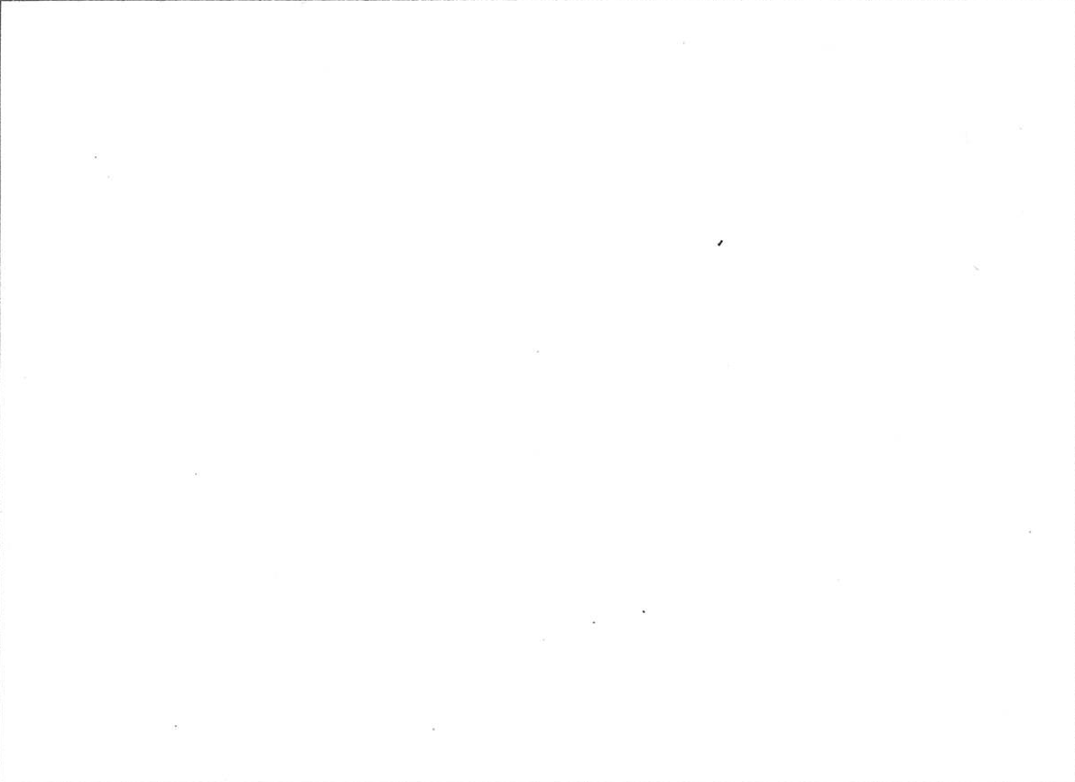 Line-Animation-Wang.gif