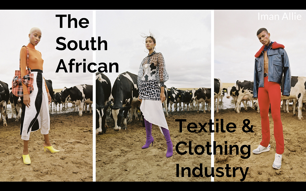 The South African Textile Industry Iman's Portfolio