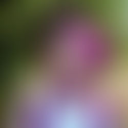 Sessão Temática de Aniversário - Masha e o Urso - Barbara