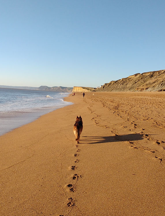 Holicay cottae price list