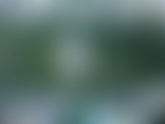 PRAÇA DO CAMPO GRANDE SERÁ REVITALIZADA