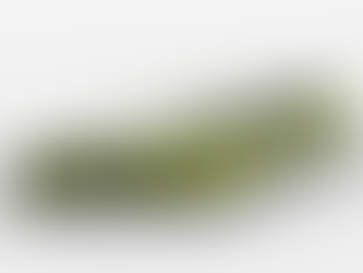 FLIXTRAIN - Electric Locomotive BR193 Vectron with Coaches Bmmz 264.4F