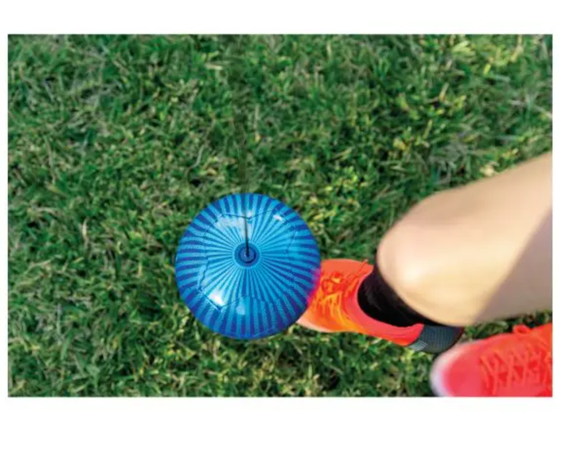 כדור כחול על הדשא