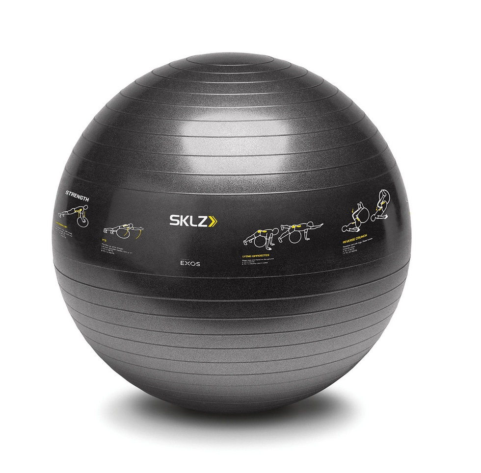 כדור פיזיו SKLZ