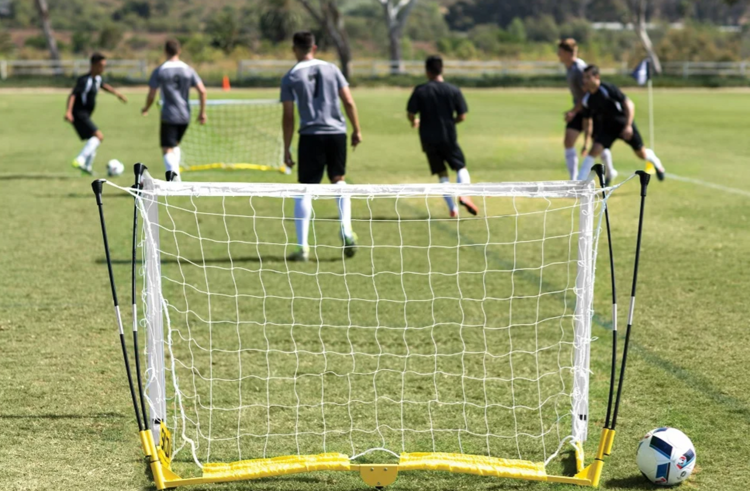 רשת שער כדורגל על מגרש דשא.