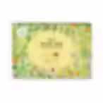 לוח שנה תליה התשפ"ו | 2025 -2026 עברי-לועזי-חקלאי-מאויר שהוא גם מדריך גינון ביתי, גידול ירקות בבית וטבע ארצישראלי.