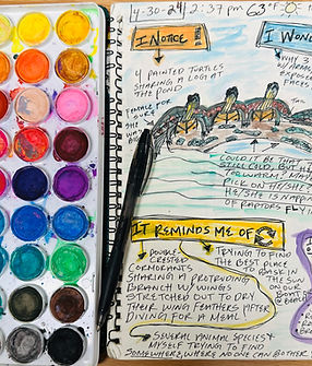 Nature Journal class .jpg