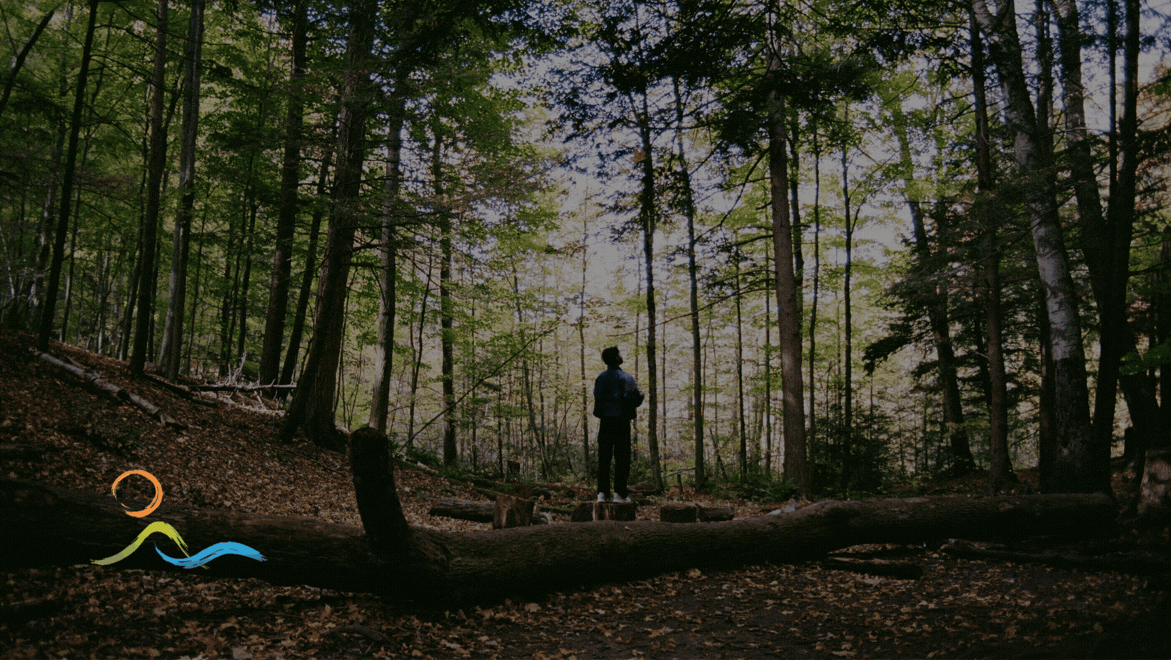 leadership in action giff.gif