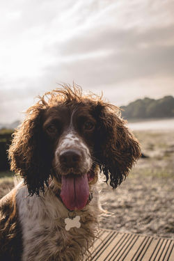 9phLXKTuQEK%XFHgrZGxeA_thumb_3860